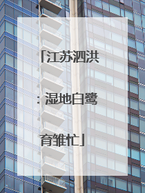江苏泗洪：湿地白鹭育雏忙