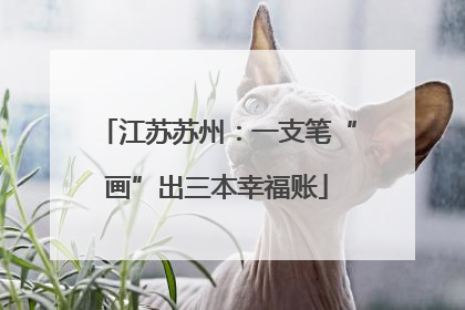 江苏苏州：一支笔“画”出三本幸福账