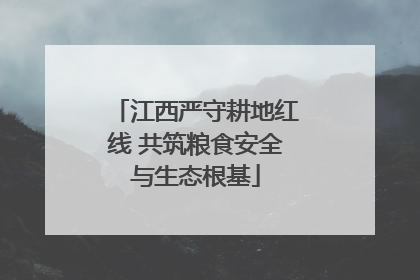 江西严守耕地红线 共筑粮食安全与生态根基