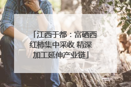 江西于都：富硒西红柿集中采收 精深加工延伸产业链
