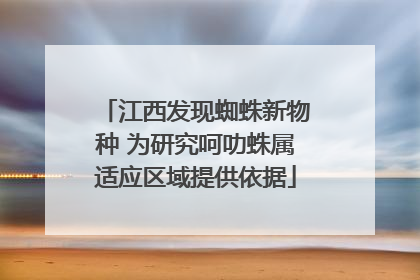 江西发现蜘蛛新物种 为研究呵叻蛛属适应区域提供依据