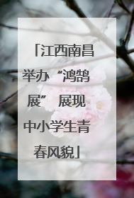 江西南昌举办“鸿鹄展” 展现中小学生青春风貌