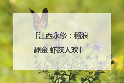 江西永修：稻浪翻金 虾跃人欢