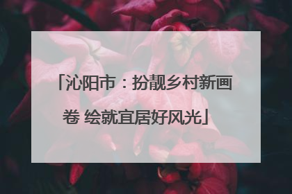沁阳市：扮靓乡村新画卷 绘就宜居好风光