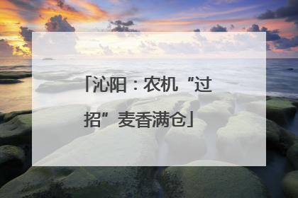 沁阳：农机“过招”麦香满仓