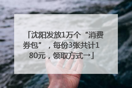 沈阳发放1万个“消费券包”，每份3张共计180元，领取方式→