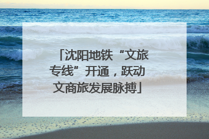 沈阳地铁“文旅专线”开通，跃动文商旅发展脉搏