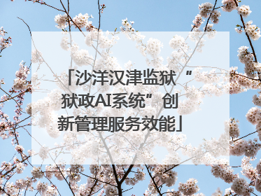 沙洋汉津监狱“狱政AI系统”创新管理服务效能