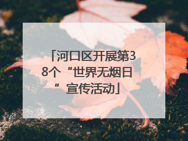 河口区开展第38个“世界无烟日”宣传活动