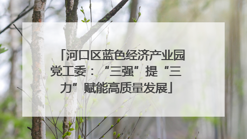 河口区蓝色经济产业园党工委：“三强”提“三力”赋能高质量发展