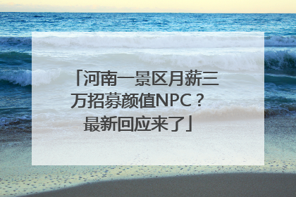 河南一景区月薪三万招募颜值NPC？最新回应来了