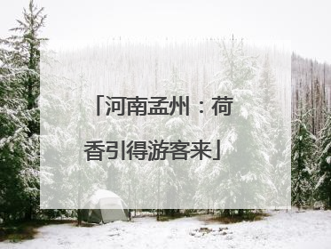 河南孟州：荷香引得游客来
