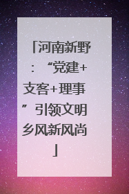河南新野：“党建+支客+理事”引领文明乡风新风尚