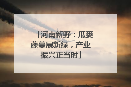 河南新野：瓜蒌藤蔓展新绿，产业振兴正当时