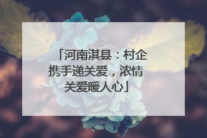 河南淇县：村企携手递关爱，浓情关爱暖人心