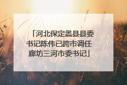河北保定蠡县县委书记陈伟已跨市调任廊坊三河市委书记
