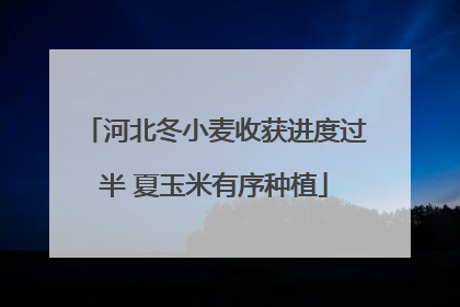 河北冬小麦收获进度过半 夏玉米有序种植