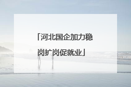 河北国企加力稳岗扩岗促就业