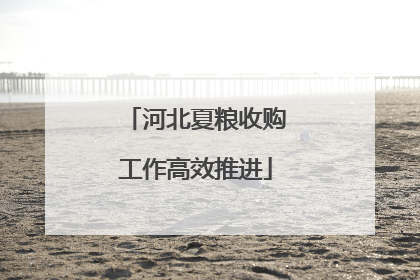 河北夏粮收购工作高效推进