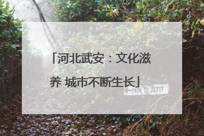 河北武安：文化滋养 城市不断生长