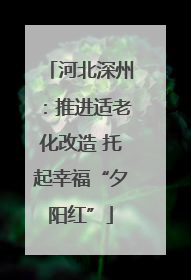 河北深州：推进适老化改造 托起幸福“夕阳红”