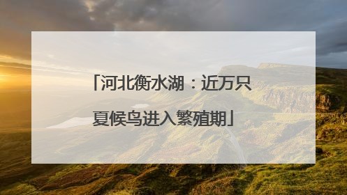 河北衡水湖：近万只夏候鸟进入繁殖期