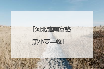 河北馆陶富铬黑小麦丰收