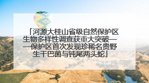河源大桂山省级自然保护区生物多样性调查获重大突破——保护区首次发现珍稀名贵野生干巴菌与钝尾两头蛇