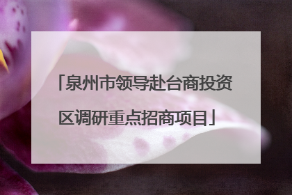 泉州市领导赴台商投资区调研重点招商项目