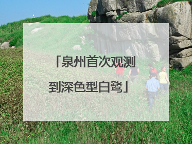 泉州首次观测到深色型白鹭