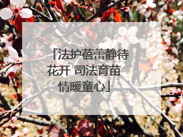 法护蓓蕾静待花开 司法育苗情暖童心