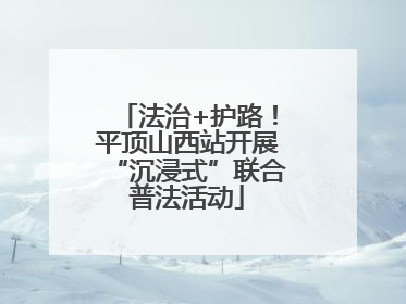 法治+护路！平顶山西站开展“沉浸式”联合普法活动