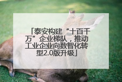 泰安构建“十百千万”企业梯队，推动工业企业向数智化转型2.0版升级