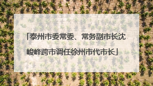 泰州市委常委、常务副市长沈峻峰跨市调任徐州市代市长