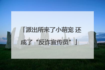 派出所来了小萌宠 还成了“反诈宣传员”
