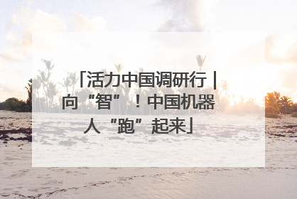 活力中国调研行｜向“智”！中国机器人“跑”起来
