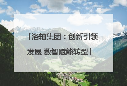 洛轴集团：创新引领发展 数智赋能转型