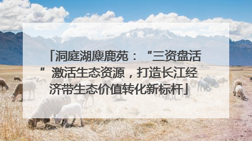 洞庭湖麋鹿苑：“三资盘活”激活生态资源，打造长江经济带生态价值转化新标杆