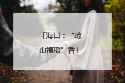 海口：“琼山福稻”香