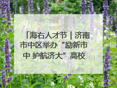 海右人才节｜济南市中区举办“励新市中 护航济大”高校行专场活动暨“青年人才 乐享市中”品牌推介会