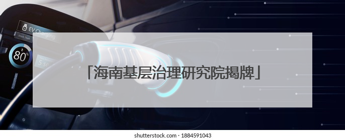 海南基层治理研究院揭牌