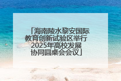 海南陵水黎安国际教育创新试验区举行2025年高校发展协同圆桌会会议