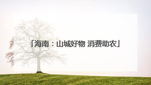 海南：山城好物 消费助农