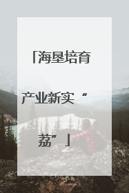 海垦培育产业新实“荔”