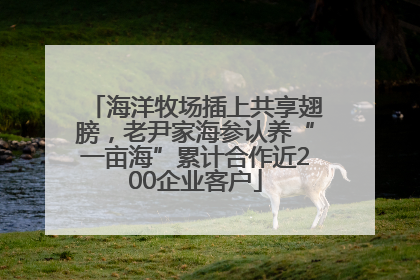 海洋牧场插上共享翅膀，老尹家海参认养“一亩海”累计合作近200企业客户
