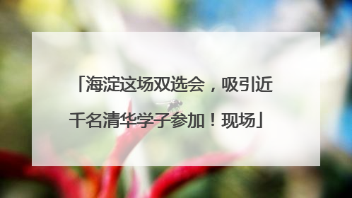海淀这场双选会，吸引近千名清华学子参加！现场