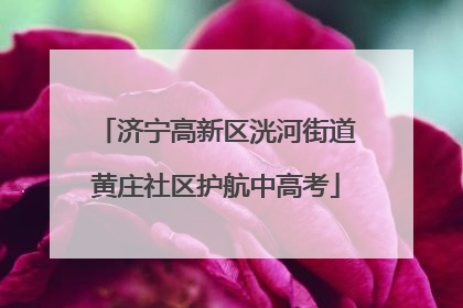 济宁高新区洸河街道黄庄社区护航中高考