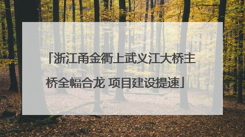 浙江甬金衢上武义江大桥主桥全幅合龙 项目建设提速