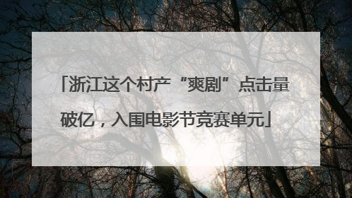 浙江这个村产“爽剧”点击量破亿，入围电影节竞赛单元