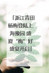 浙江青田杨梅登陆上海豫园 盛夏“梅”好盛宴开启